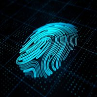Web Server Fingerprinting